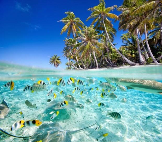 Сейшельские острова – одно из красивейших мест на планете. Пользуется популярностью у туристов.