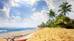 Цейлон — знаменитый чайный остров Индийского океана Что такое шри ланка